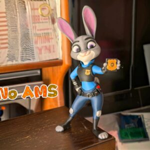 Judy Hoops