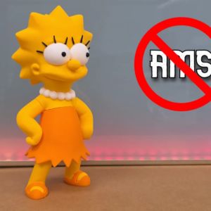 Lisa