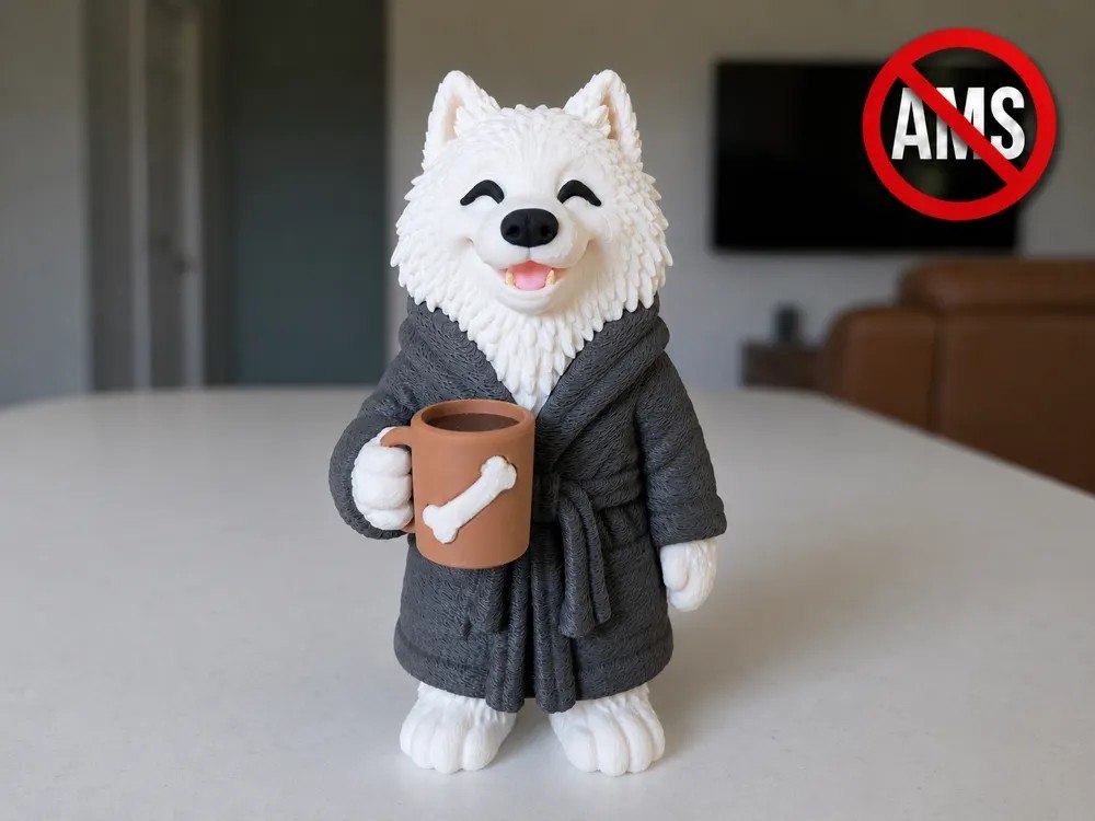 Samoyed