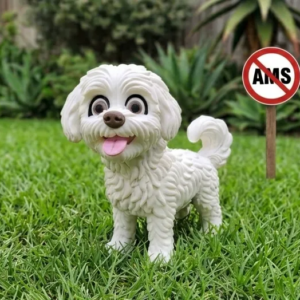 Bichon