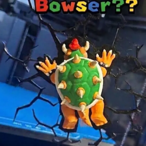 Bowser